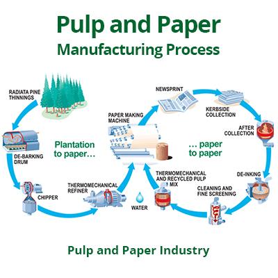The following diagram shows the paper manufacturing cycle