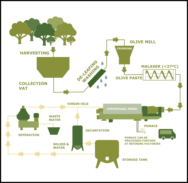 The diagram outlines the various steps involved in the production of olive oil. Overall, olive oil goes through seven stages before being packaged and released into the market. The process begins far from the industrial setting, with the olives being harvested directly from the trees. In the second step, the olives are rinsed with cold water before being placed on a conveyor belt connected to a smashing machine. This machine separates the olive paste from the olive stones, which are not needed for olive oil production. Next comes the pressing stage. The olive paste is, then, placed into perforated bags and crushed using a pressing machine. This process allows for the separation of oil from water. Finally, the oil is stored before it is ready to be sold. In conclusion, as shown in the diagram, the production of olive oil involves several stages—seven in total—and requires specific expertise.