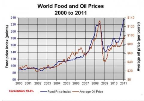 The graph below shows changes in global food and oil prices between 2000 and 2011.

Summarise the information by selecting and reporting the main features and make comparisons where relevant.