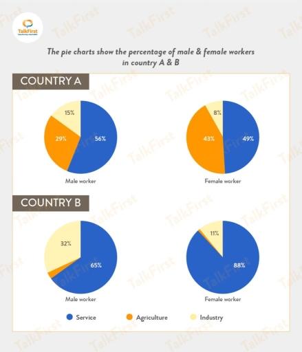 The charts below show the percentage of male and female workers in country A and country B. Summarize the information by selecting and reporting the main features and make comparisons where relevant.