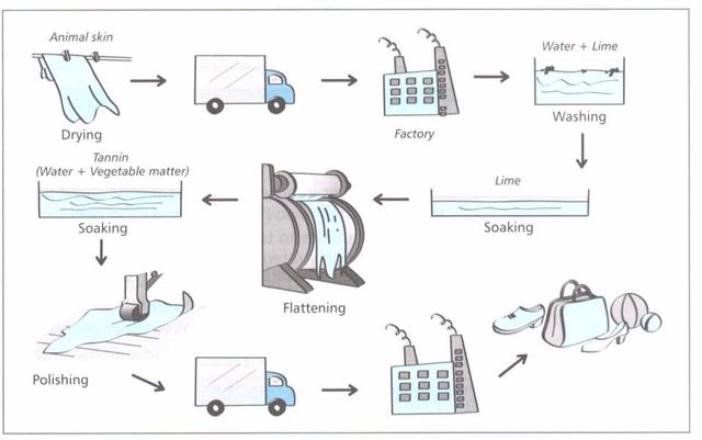 The diagram shows the stages involved in the process of making leather goods. Summarise the information by selecting and reporting the main features, and make comparisons where relevant.