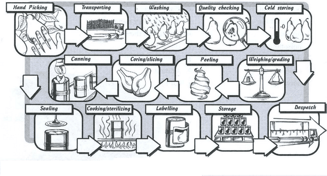 The diagram describes the production of canned fruits.

Summarize the information by selection and reporting the main features and make comparison where relevant. 

Write at least 150 words.