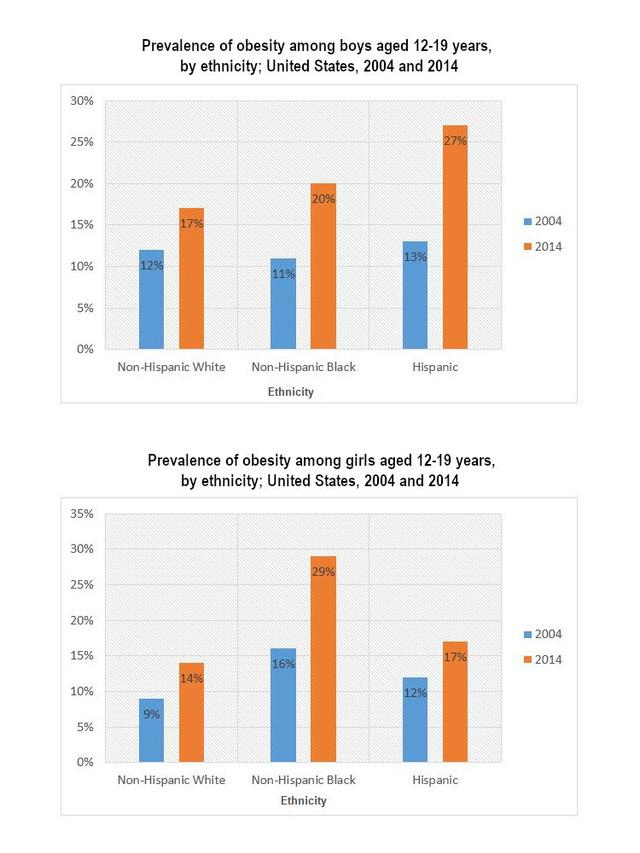 The bar charts below show the prevalence of obesity among boys and girls aged 12 to 19 years by ethnicity, in the United States for the years 2004 and 2014. Summarise the information by selecting and reporting the main features, and make comparisons where relevant.