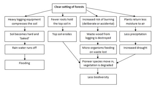 The flow chart illustrates the consequence of deforestation.

Summarise the information by selecting and reporting the main features.