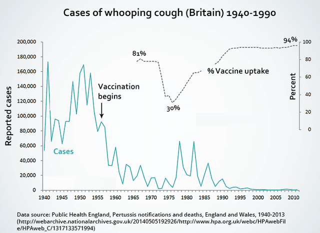 The graph shows the impact of vaccinations on the incidence of whooping cough, a childhood illness, between 1940 and 1990 in Britain. Summarise the information by selecting and reporting the main features, and make comparisons where relevant.