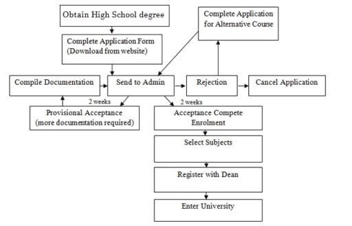 The diagram shows the procedure for university entry for high school graduates. Write a report for a university or college lecturer describing the information.