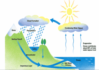 The diagram below shows the water cycle, which is the continuous movement of water on, above and below the surface of the Earth. Summarise the information by selecting and reporting the main features, and make comparisons where relevant.  (20 mins.)