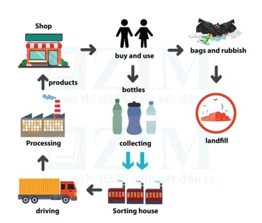 The diagram below shows the recycling process of plastics. Summarise the information by selecting and reporting the main features, and make comparisons where relevant.