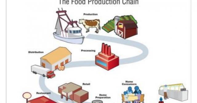 The diagram below shows the stages in the food production chain of the United States. Summarise the information by selecting and reporting the main features, and make comparisons where relevant.