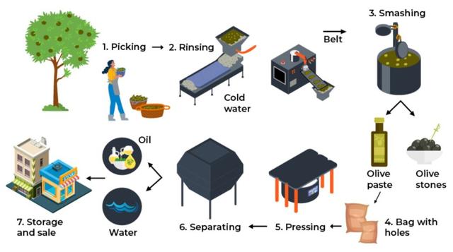 The diagram illustrates tthe process of production of olive. Summarize the information by selecting and reporting the main features and make comparisons where relevant.

Write at least 150 words.