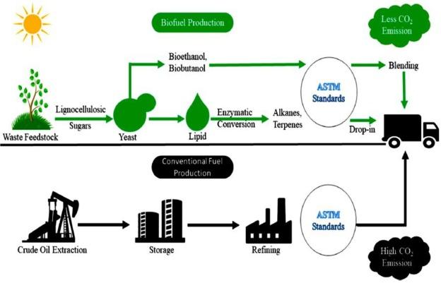 The diagram illustrates the basic principles of biofuel production.