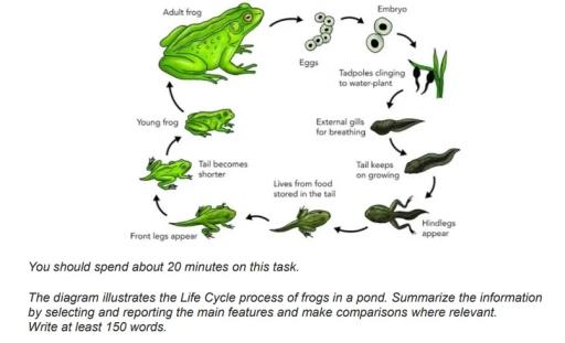 The diagram shows the life cycle of a frog.

Summarize the information by selecting and reporting the main features and make comparisons where relevant.

Write at least 150 words.