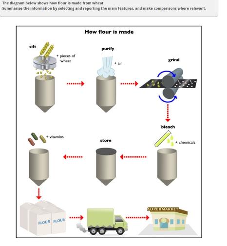 The diagram below shows how flour is made from wheat. Summarise the information by selecting and reporting the main features, and make comparisons where relevant.