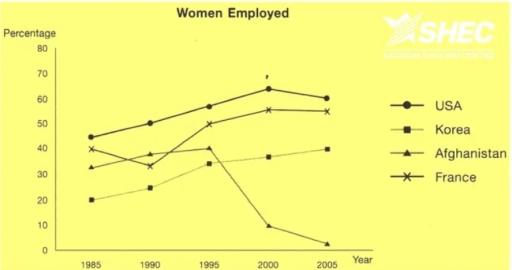 This line graph shows the percentage of women who were employed in four countries from 1985 to 2005. Write a report for a university lecturer describing the information.