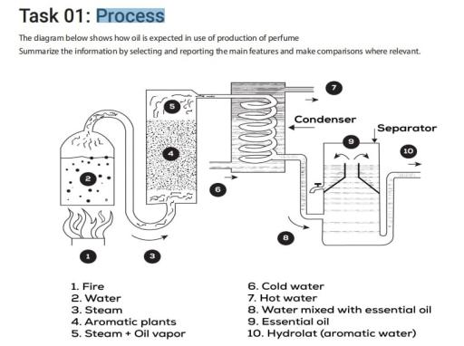 The diagrams below shows how oil is expected in use of production of perfume. Summarize the information by selecting and reporting the main features and make comparisons where relevant.