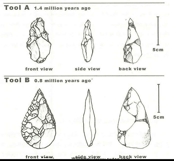 The diagram below shows the development of cutting tools in the Stone Age. Summarize the information by selecting and reporting the main features, and make comparisons where relevant.