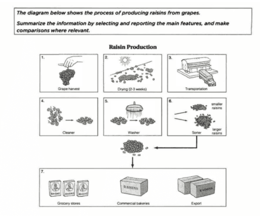 The diagram below shows the process of producing raisins from grapes. Summarize the information by selecting and reporting the main features, and make comparisons where relevant.