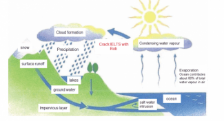The diagram below shows the water cycle in both forested and urban areas. Summarise the information by selecting and reporting the main features and make comparisons where relevant.