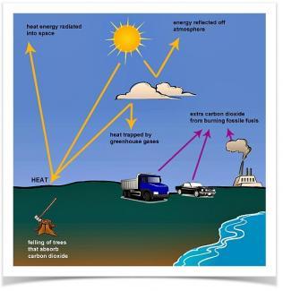 The following diagram shows how greenhouse gasses trap on from the sun. Write a report for a teacher to describe the information below.