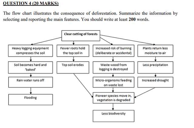 The flow chart illustrates the consequences of deforestation. Summarize the information by selecting and reporting the main features, and make comparisons where relevant.