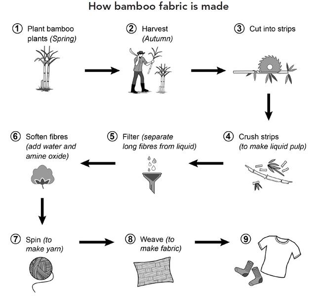 The diagram illustrates the process of how bamboo fabric is made.
