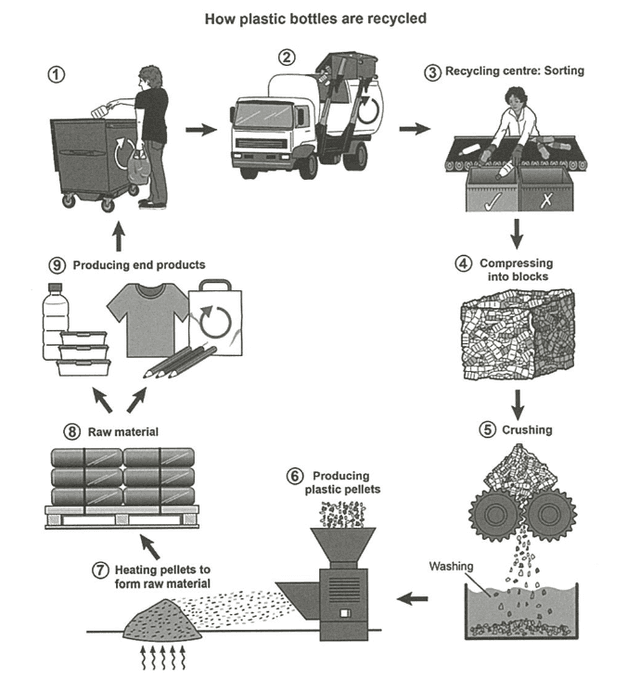 The diagram below show the process for recycling plastic bottles.

Summarise the information by selecting and reporting the main features,and make comparisons where relevant.