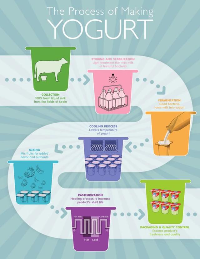 The diagram below shows the process of yogurt making. Summarise the information by selecting and reporting the main features and make comparisons where relevant.