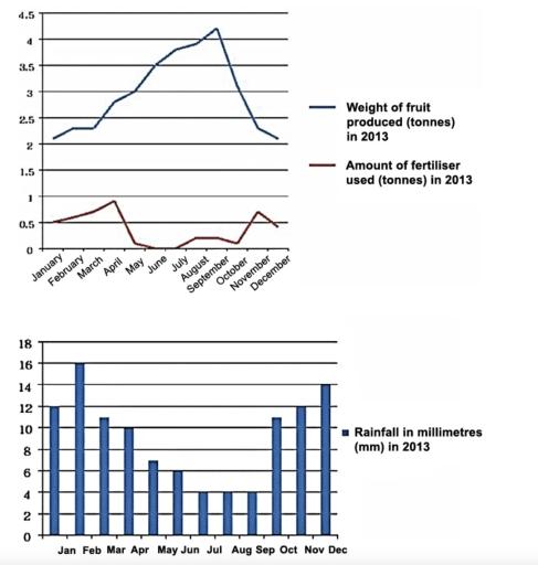 The first graph below shows the weight (in tones) of fruit produced by a farm during each month in 2013, and also the amount (in tones) of fertiliser used. The second graph shows the volume of rainfall in each month (in millimetres.) Write a report summarising the information. Select and describe the main features, and make comparisons where relevant.