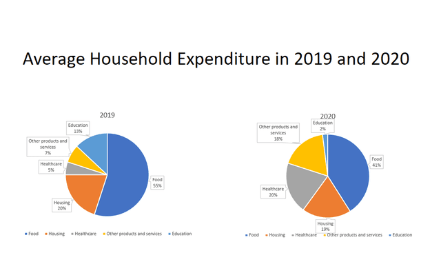 The two  pie charts  compare  five categories household expenditure( food, housing, education other products  and services, healthcare) between 2019 and 2020. Units are measured in percentage.