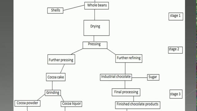 The diagram below shows the steps of processing cocoa beans