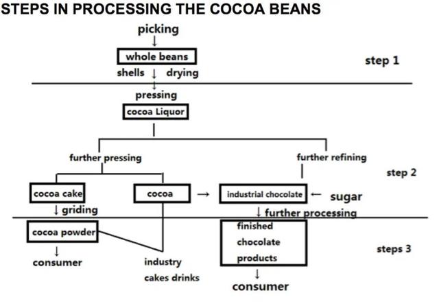The diagram illustrates the process of cacao beans