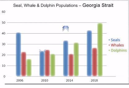 The following graph shows changes in marine life populations in several years in a body of salt water. Report the main features and make comparisions where relevant.