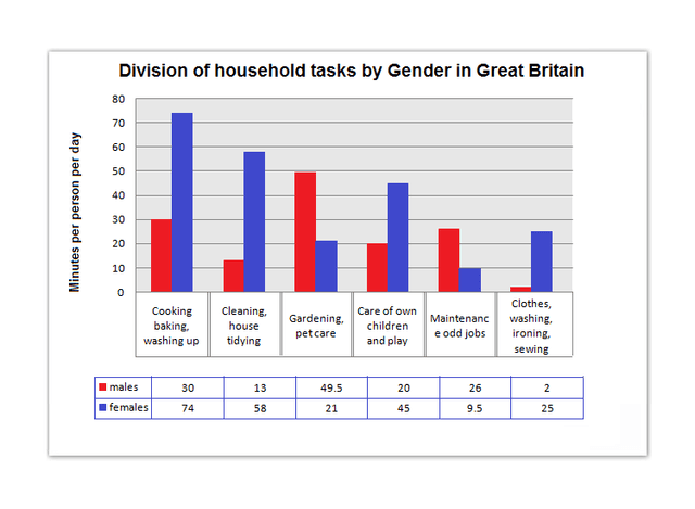 The bar chart shows the division of household tasks by gender in Great Britain.

Summarise the information by selecting and reporting the main features and make comparisons where relevant.