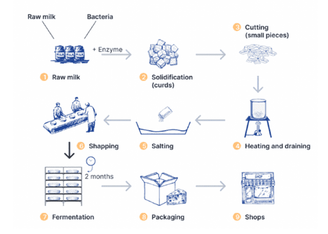 The diagram shows how cheese is made