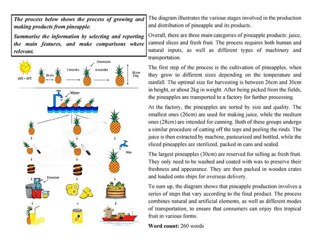 The diagram shows the process of growing and processing of pineapples and their products.