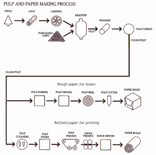 The diagram gives information about the process of making pulp and paper.