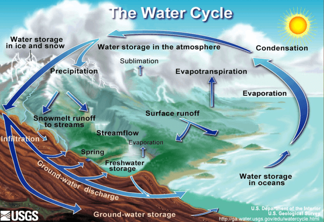 The diagram below shows the water cycle in both forested and urban areas.