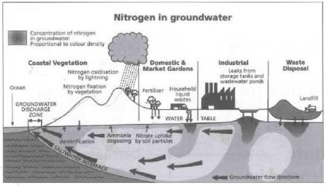 The diagram below shows nitrogen sources and

concentration levels in the groundwater of a coastal city.