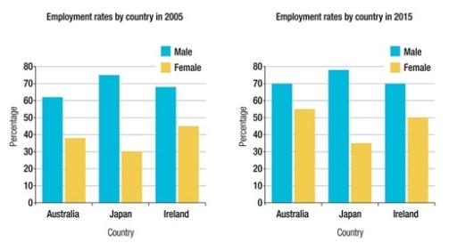 The bar charts below show the percentages of men and women in employment in three countries in 2005 and 2015. Summarise the information by selecting and reporting the main features, and make comparisons where relevant.