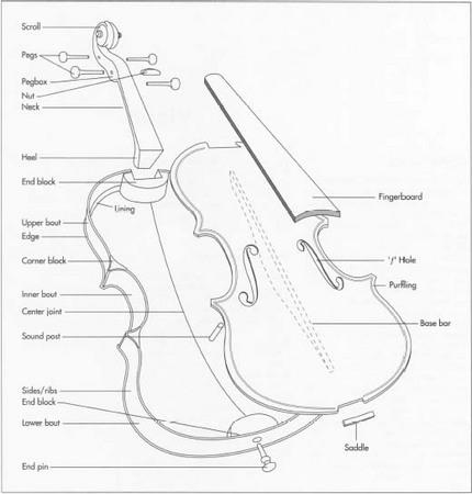 The diagram below shows the process of making a violin by hand. 

Summarise the information by selecting and reporting the main features, and make comparisons where relevant.