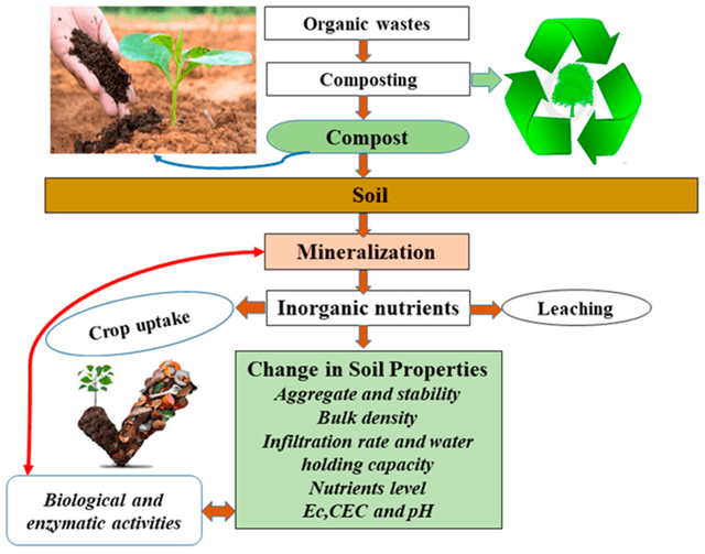 The diagram illustrates the stages of composting recycled organic waste to produce a natural fertilizer for the garden.