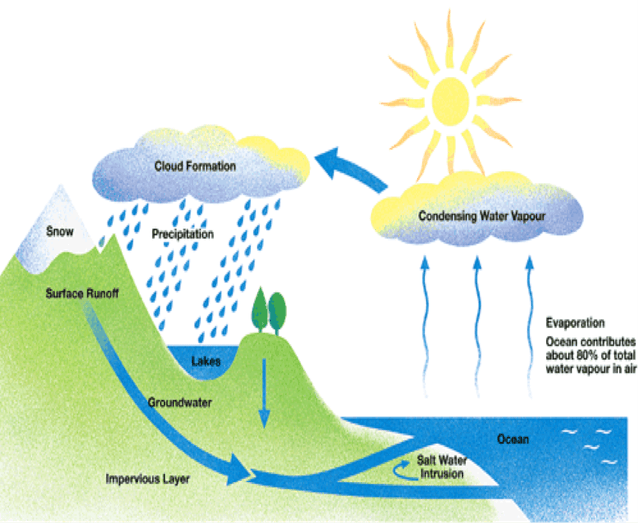 Write IELTS essay task 1 with at least 150 words with the topic "The diagram below shows the water cycle, which is the continuous movement of water on, above and below the surface of the Earth. Summarize the information by selecting and reporting the main features and make comparisons where relevant."