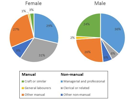 The two pie charts illustrate some employment patterns by sex in Great Britain in 1992, while the table below shows the occupations of each manual and non-manual.
