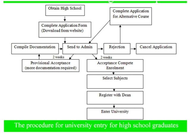 The diagram shows the procedure for university entry for high school graduates. Write a report for a university or college lecturer describing the information.