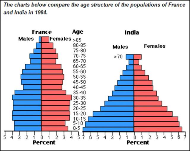 The charts below compare the age structure of the populations of France and India in 1984.