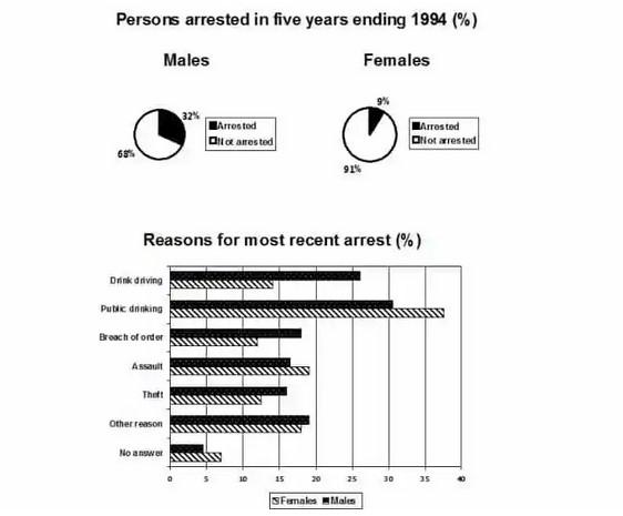 The pie chart shows the percentage of persons arrested in five years ending 1994 and the bar chart shows the most recent reasons for arrests.
