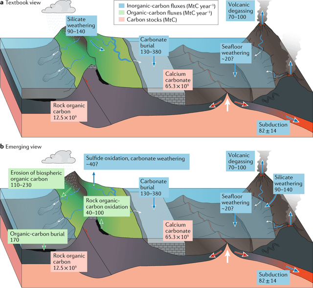 The diagram shows differences in temperature zones between tropical mountains and temperate mountains

Summaries the information by selecting and reporting the main features, and make comparisons where relevant.