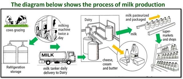 The diagram shows the process by which milk and related products are produced.

Summarise the information by selecting and reporting the main features.

Write at least 150 words.