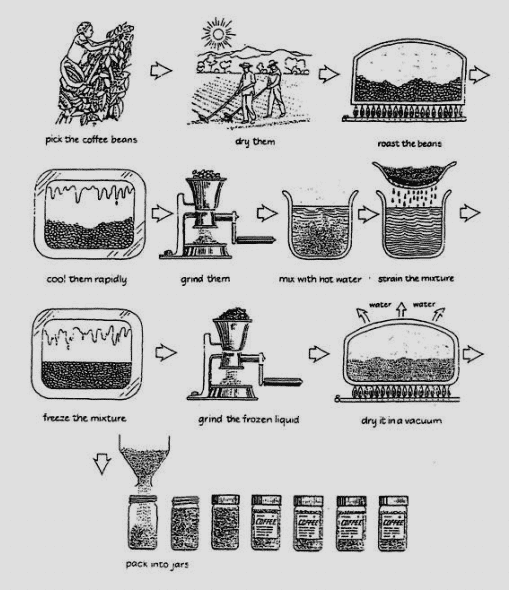 The diagram shows how coffee is produced and prepared for sale in supermarkets and shops.