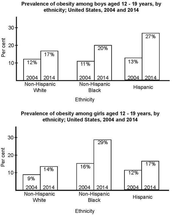 The two bar charts give information about the proportion of obesity in boys and girs between the ages of 12 and 19 by nationality in the United States for the two decades (2010 and 2014)